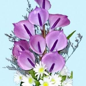 Meet your Posher, Linh